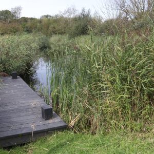 Tussen Bergplaats en Muiderberg