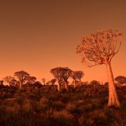 Namibia 2022
