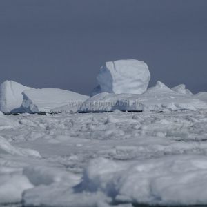 Eiswelt Antarktis Januar 2020