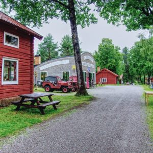 Pictures from the day-Bilder från dagen