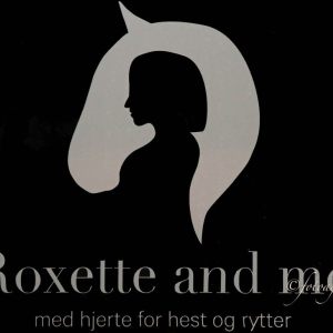 Roxette and me