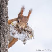 Herbst voller Farben und Leben