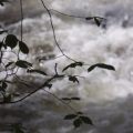 By Horner Water