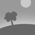 Test on-line album creator