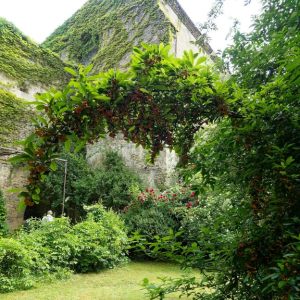 Sortie Fête fête de la Rose à Camon(09)