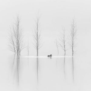 EXPOSITIE 2025 VRIJ WERK