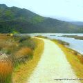 New Zealand's Famous Abel Tasman Coast Track
