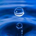 Drops