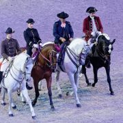 Paris_Arts-Equestres
