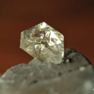 Minerals - Fossils