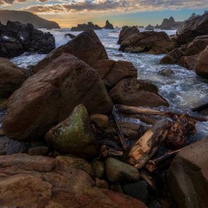 ThisWeekAtTheCoast