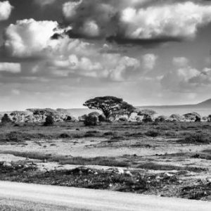 Kenia-Safari im Dezember 2013