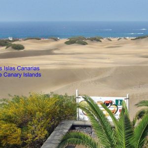 Vegetation und Umwelt der Kanarischen Inseln