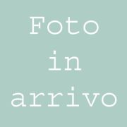 1000 Miglia 2025 Foto