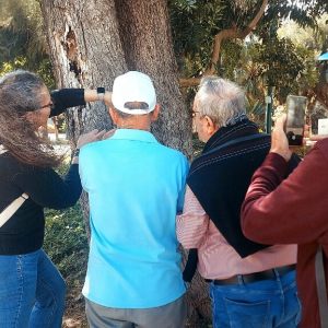 מפגש גיבוש וסדנת צילום בסלולר עם שירלי