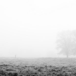 Mistig Buurserzand