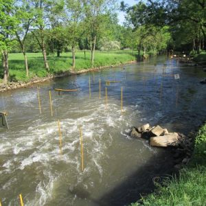 30.4.2025 An der Erft und am Selikumer Park entlang zum Rhein