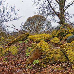 Findlinge in Kurland