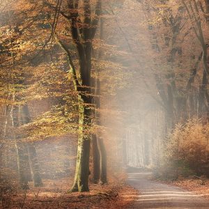 Herfst 2018
