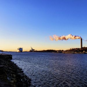 The naturereservat Klippan / Gothenburg