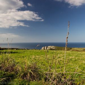 Ah, Cornwall!