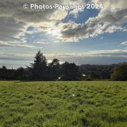 Automne-2024