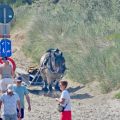 HORSEBACKFISHERMEN 573 - Belgium