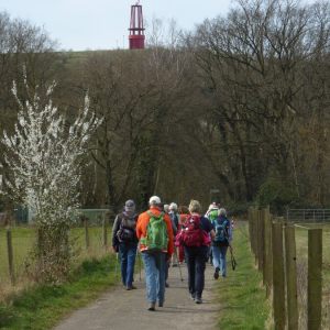 22.3.2025  Geleucht und Waldsee
