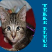 Terre Bleue